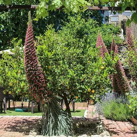 فندق مبيت وإفطار Suncanarias Casa Tajinaste فيلافلور